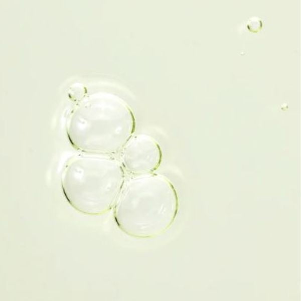 BEAUTY OF JOSEON Green Tea + Panthenol Calming Serum 30ml 2 BEAUTY OF JOSEON Green Tea Calming Serum 30ml - Siero Viso