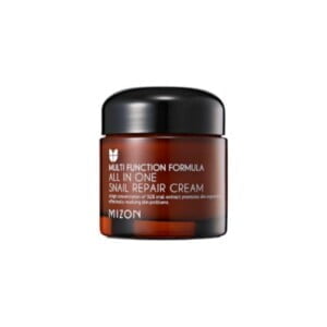 Mizon All in One Snail Repair Cream 75 ml