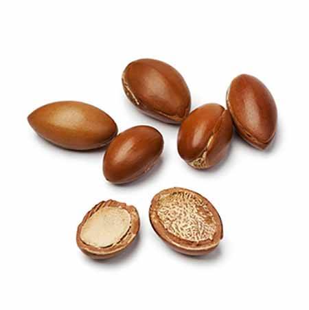 LADOR Premium Morocco Argan Oil 100ml - Olio nutriente capelli 5 LADOR Premium Morocco Argan Oil 100ml - Olio nutriente capelli