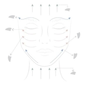 Mushroom Gua Sha in Giada Verde 1pc 5 SUN & SIA Mushroom Gua Sha Jade 1pc - Pietra Gua sha