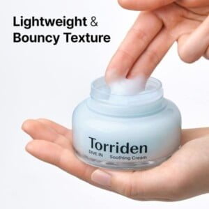 TORRIDEN DIVE-IN Low Molecule Hyaluronic Acid Soothing Cream 100ml - Crema viso