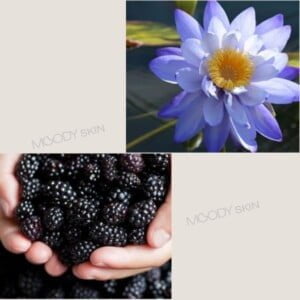 MARY & MAY Vegan Blackberry Complex Cream Essence 140ml - Essenza viso
