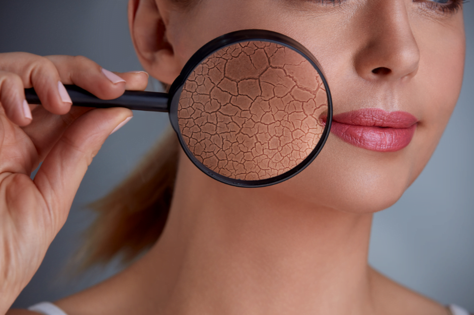 Cosmetici coreani per ripristinare e rinforzare la barriera cutanea 4 barriera cutanea