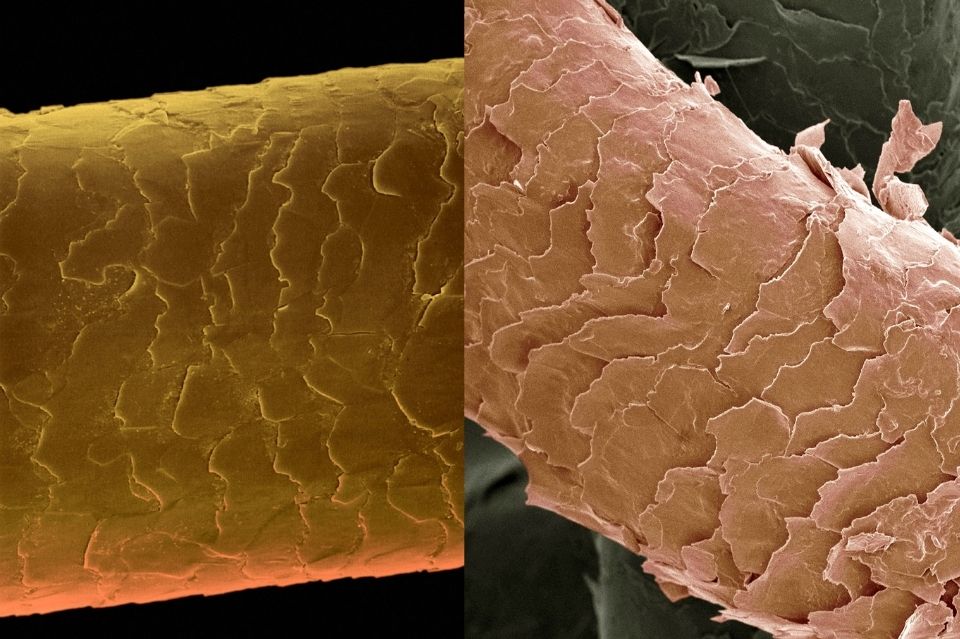 La Cheratina: soluzione ai capelli sfibrati con prodotti professionali 5 cheratina danneggiata