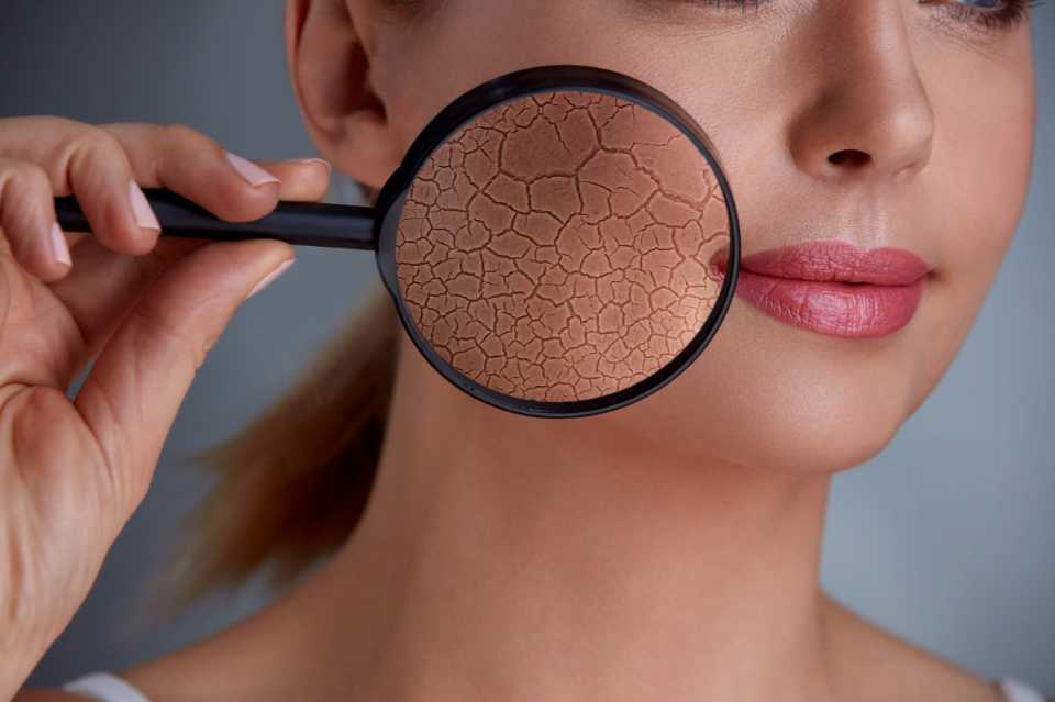 Cosmetici con le ceramidi: perché sono fondamentali per la pelle e per i capelli 3 cosmetici con le ceramidi