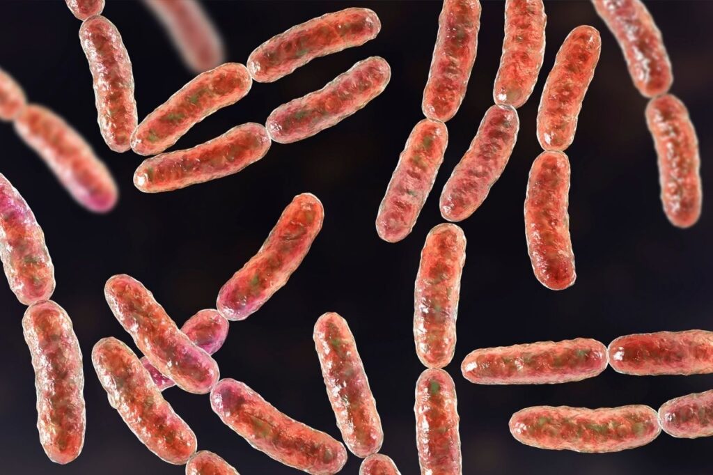 Probiotici: benefici e proprietà per la pelle 2 flora-intestinale