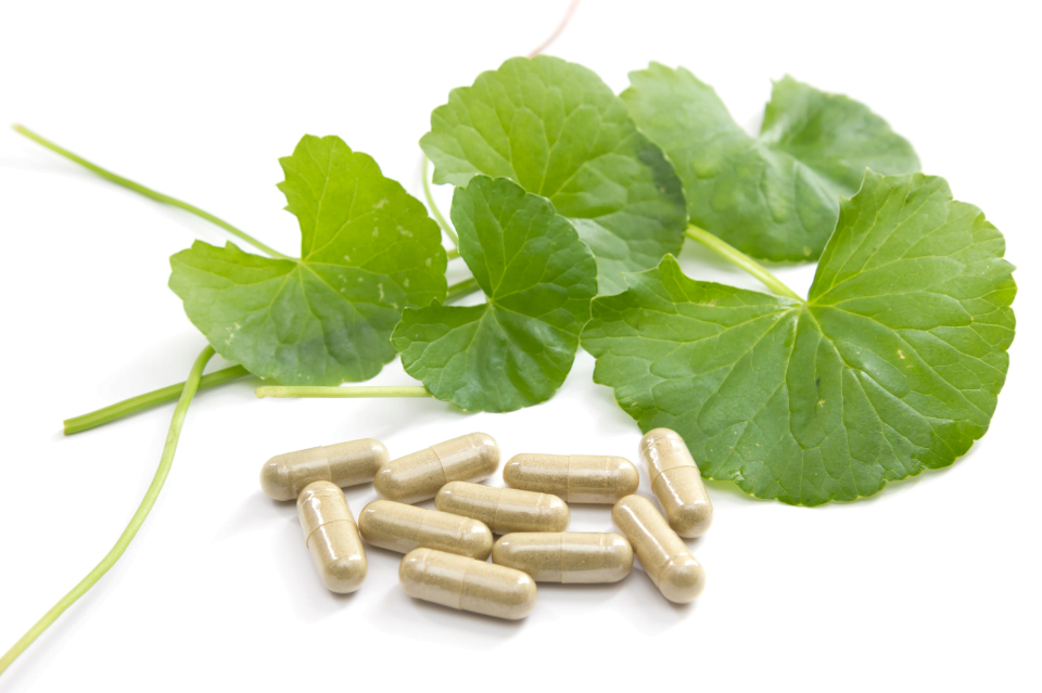 centella asiatica