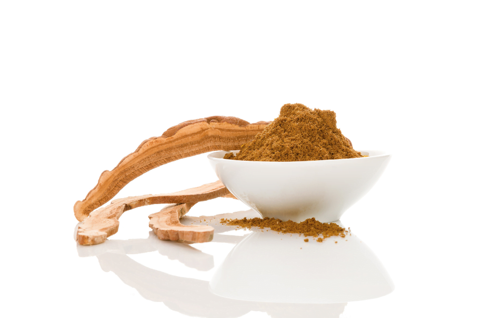Funghi nella skincare coreana: attivi cosmetici dalle mille proprietà 2 Funghi nella skincare