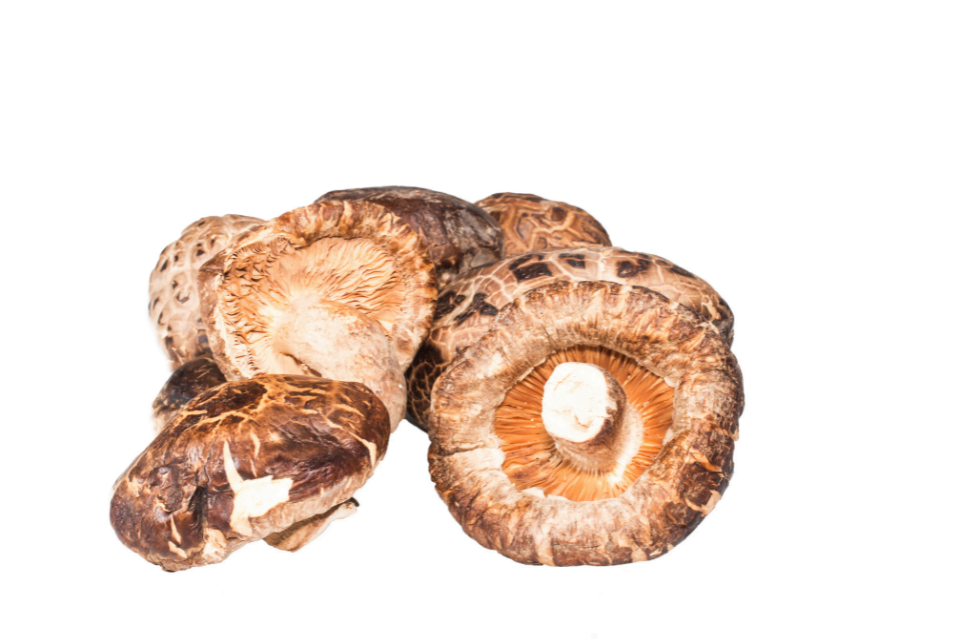 Funghi nella skincare coreana: attivi cosmetici dalle mille proprietà 9 shiiake
