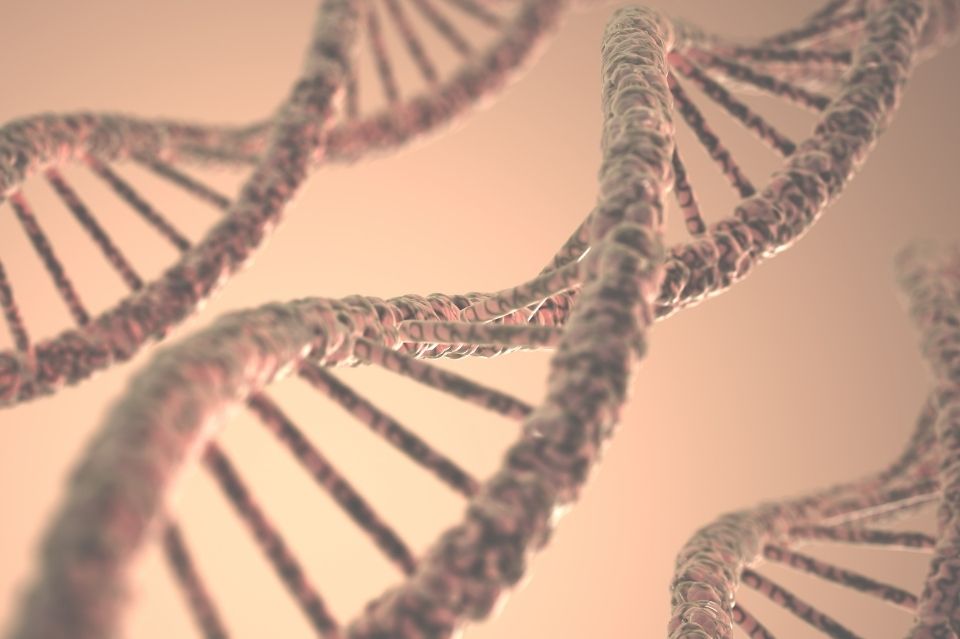 La Cheratina: soluzione ai capelli sfibrati con prodotti professionali 3 struttura cheratina