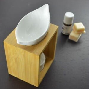 ZEN AROME Brucia essenze Naturéa - Feuillage 7 ZEN AROME Brucia essenze Naturéa - Feuillage