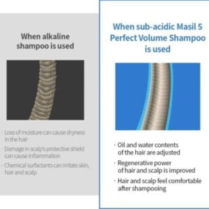 MASIL 5 Probiotics Perfect Volume Shampoo 300ml - Shampoo