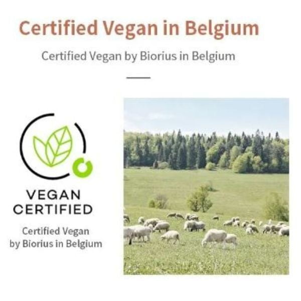 MIZON Vegan Liquid Eyeliner 0,5g - Eyeliner occhi 8 MIZON Vegan Liquid Eyeliner 0,5g - Eyeliner occhi