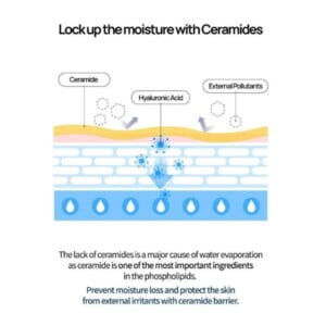 JUMISO Waterfull Hyaluronic Acid Toner how it works