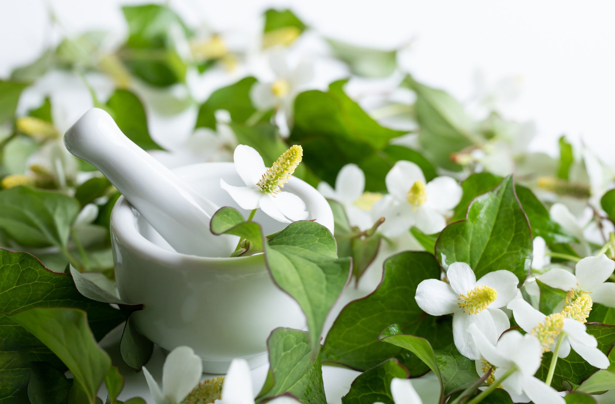 Skincare Punti Neri 8 Houttuynia cordata heartleaf
