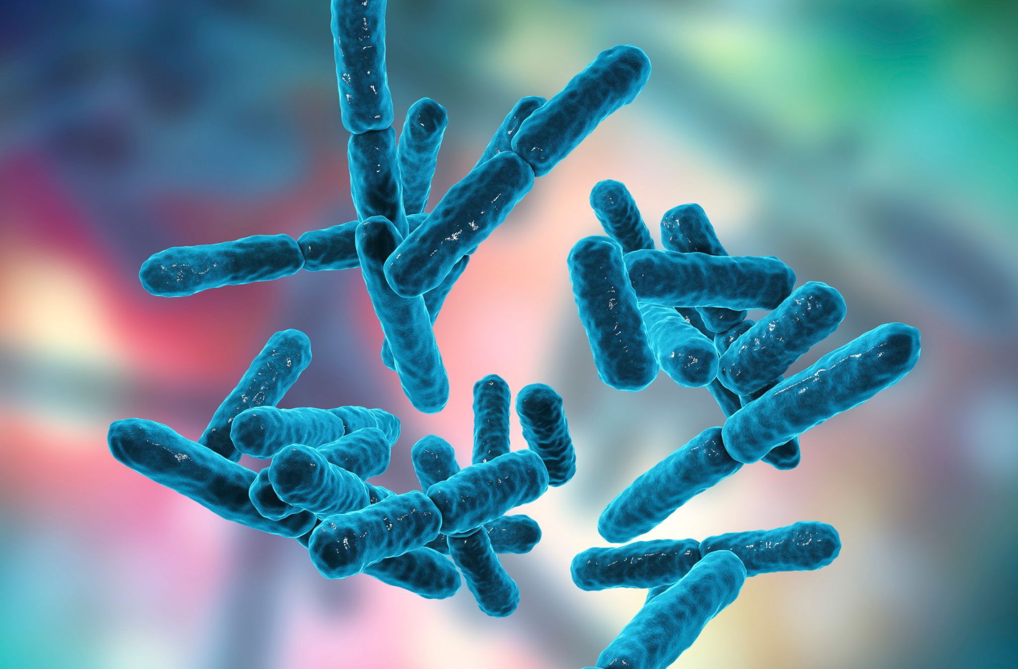 probiotici