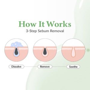 DR. ALTHEA Premium Quick Step Sebum Cleanser how it works