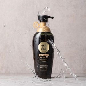 DAENG GI MEO RI Oriental Special Shampoo image