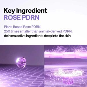 MEDIHEAL PDRN Lifting Pad 100pcs 15 MEDIHEAL PDRN Lifting Pad INGREDIENT 2