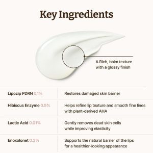 DR. REJU-ALL Advanced PDRN Rejuvenating Lip Serum INGREDIENTS