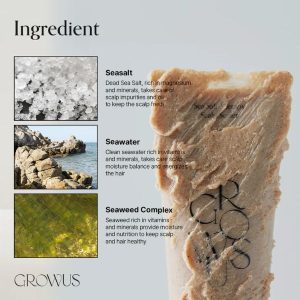 GROWUS Sea Salt Therapy Scalp Scaler ingredients