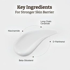 DR. REJU-ALL Advanced LC-Ceramide Barrier Cream 50ml 17 DR. REJU-ALL Advanced LC-Ceramide Barrier Cream ingredients