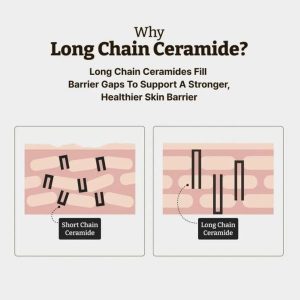 DR. REJU-ALL Advanced LC-Ceramide Barrier Cream 50ml 16 DR. REJU-ALL Advanced LC-Ceramide Barrier Cream tecnology
