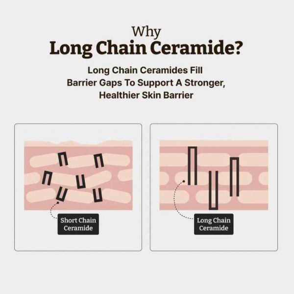 DR. REJU-ALL Advanced LC-Ceramide Barrier Cream 50ml 7 DR. REJU-ALL Advanced LC-Ceramide Barrier Cream tecnology